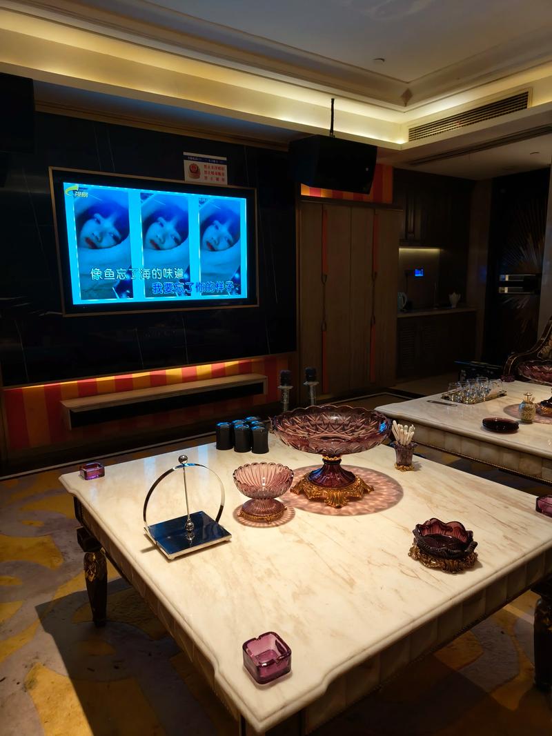 张家界商务ktv经济实惠 如何计费-慈利县ktv预定